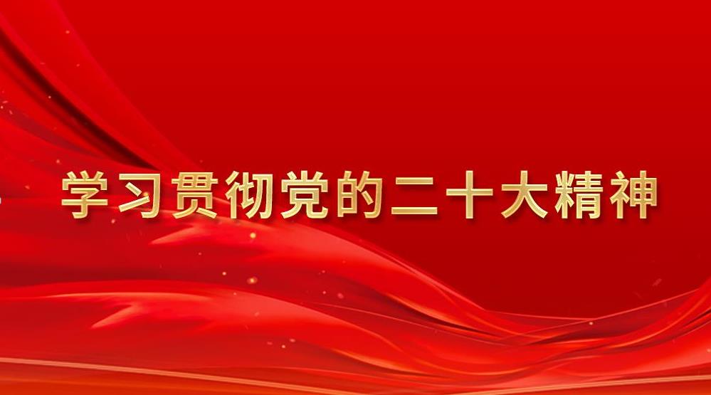 中国共产党第二十次全国代表大会